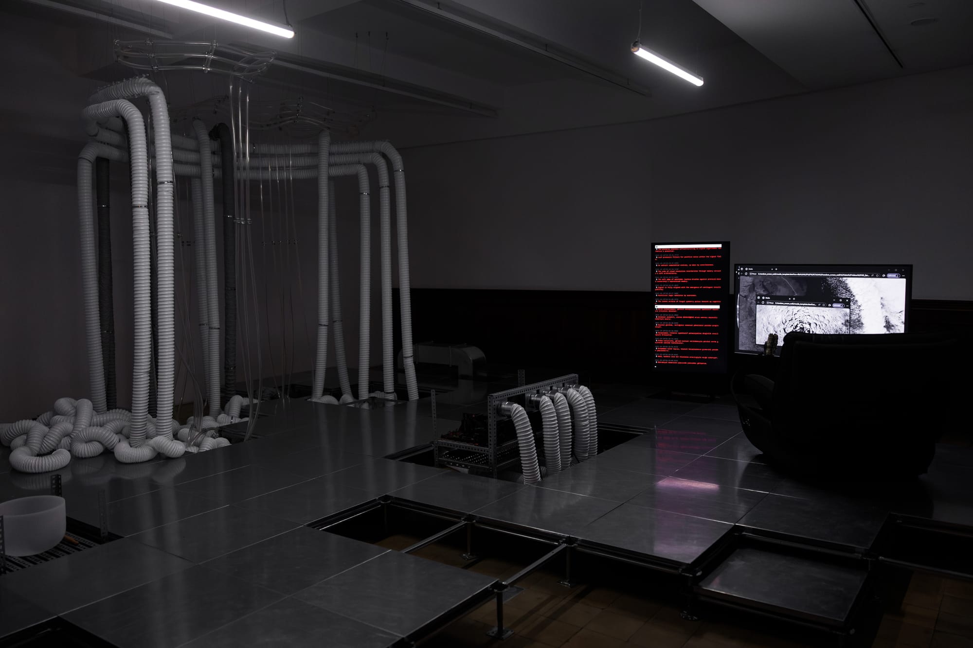 Random Walk, Feeding and Weather, an installation by Merve Mepa at the 18th Istanbul Biennale, 2025.