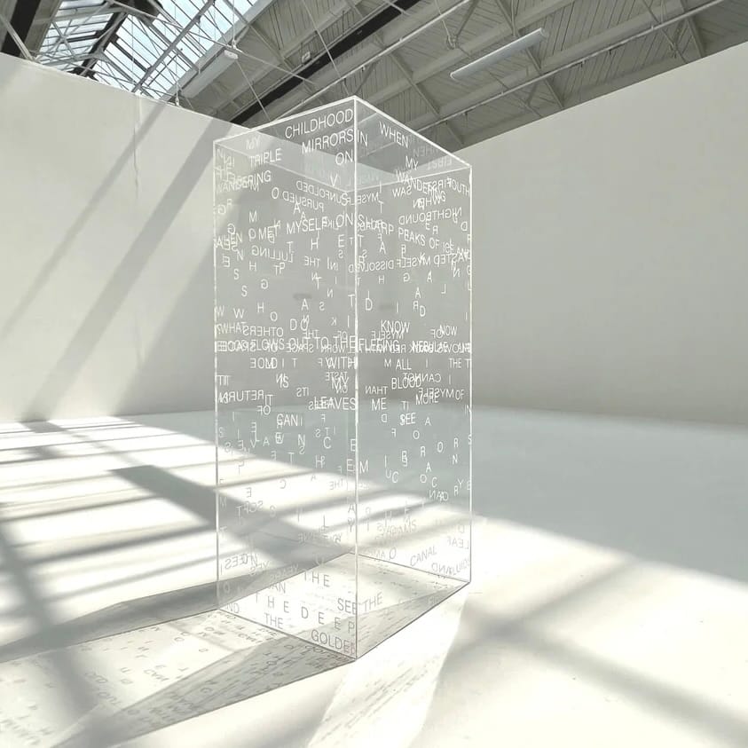 Installation view of Will to Power, a clear monolithic sculptural installation by Michèle Saint-Michel at Hypha Gallery South Bank.