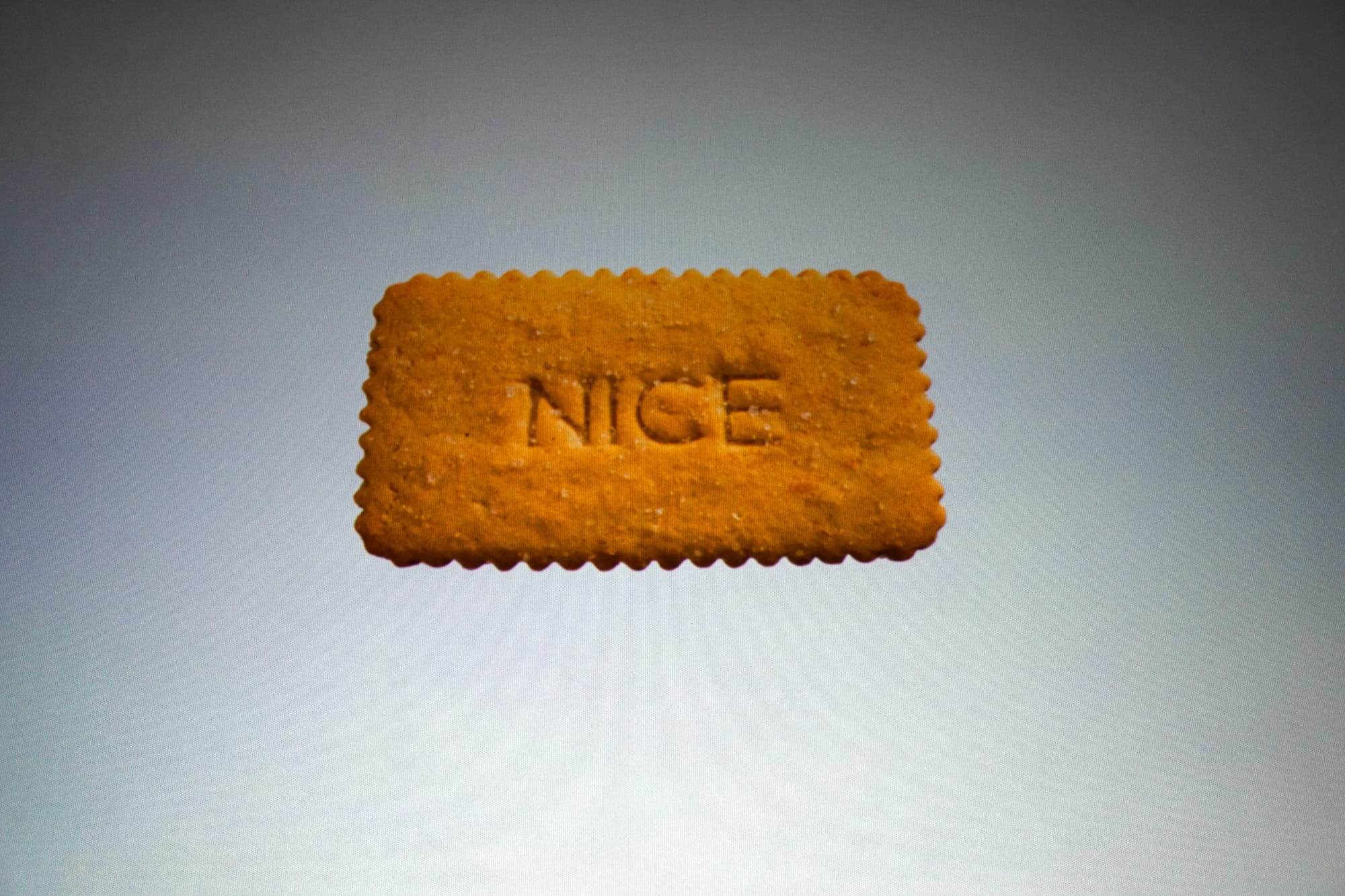 Giant photo of a Nice biscuit, taken at All Day Hey! 2026.