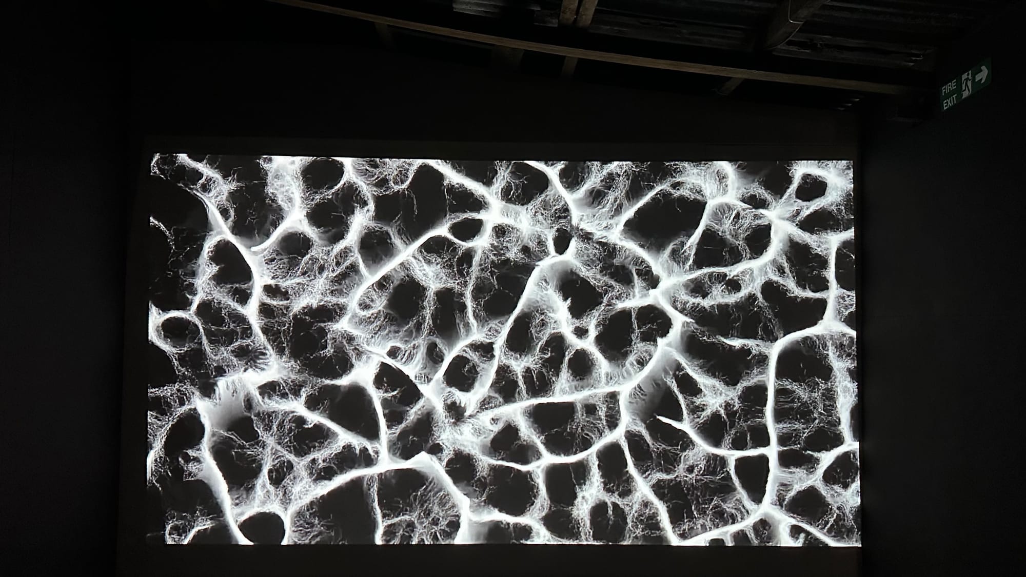 White organic pattern on black background.