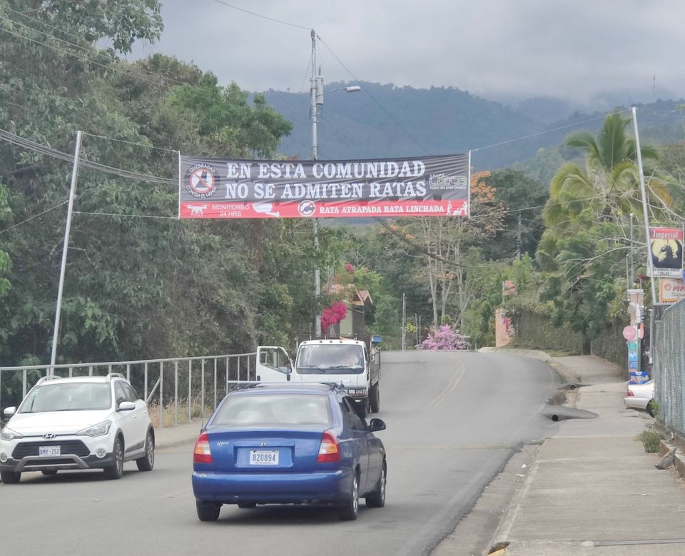 Where They Lynch Rats