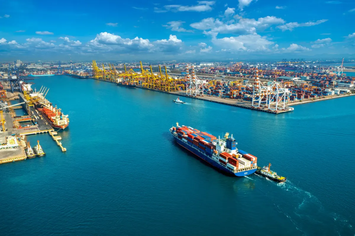 Faceless Assessment, FAG & PAG Explained: How Online Customs Scrutiny Works for Import–Export Businesses