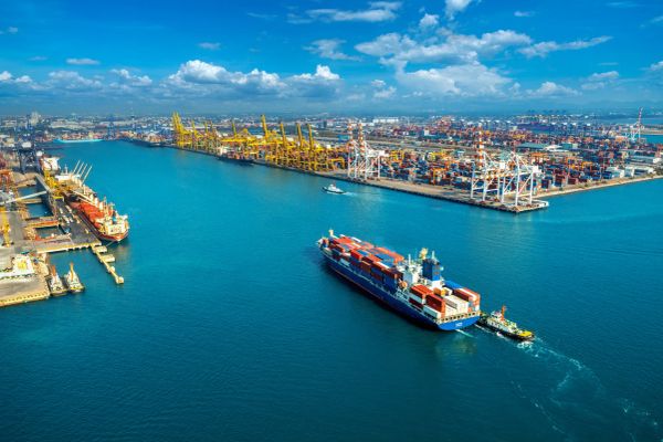 Faceless Assessment, FAG & PAG Explained: How Online Customs Scrutiny Works for Import–Export Businesses