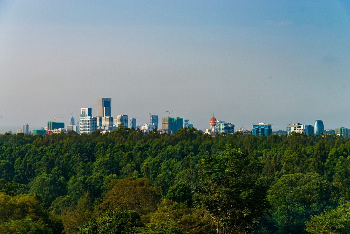 How Nairobi's UN Presence Built an Invisible Class of Power Brokers
