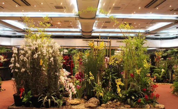 Botanical Artistry at The Kenya Orchid Society Show in Sarit Centre
