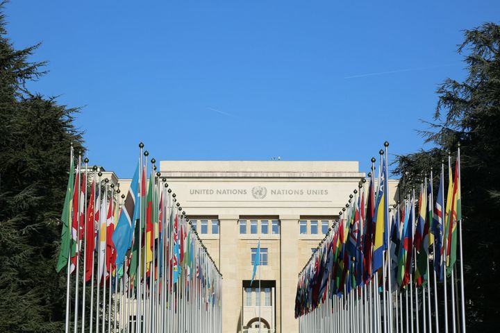 A Practical Guide on How to Land Your First United Nations Job