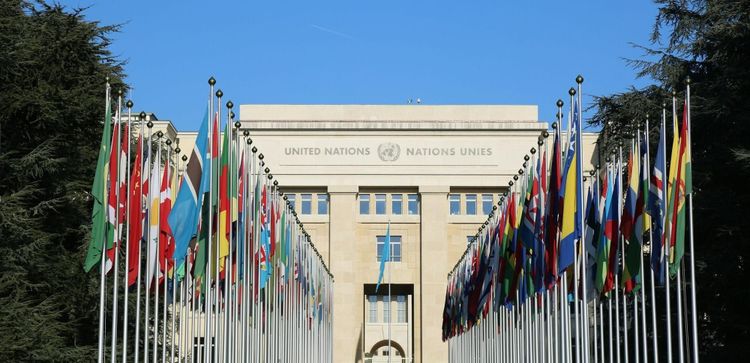 A Practical Guide on How to Land Your First United Nations Job