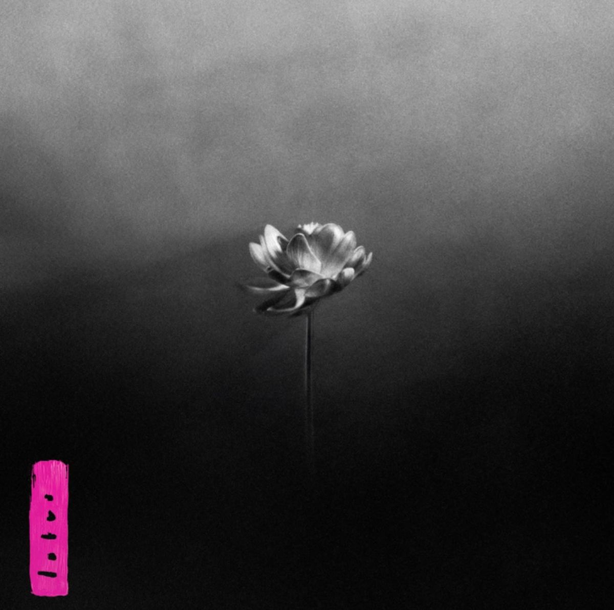 Little Simz - Lotus
