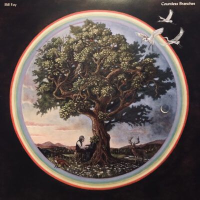 Pochette de Bill Fay - Countless Branches