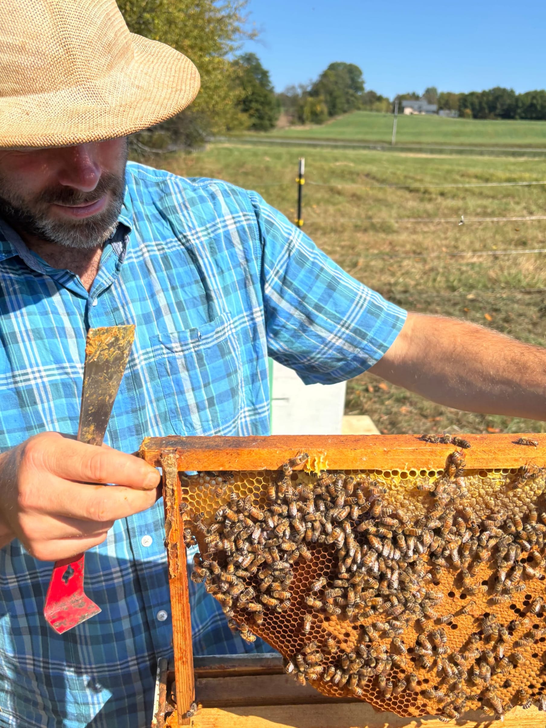 Support for Beekeepers