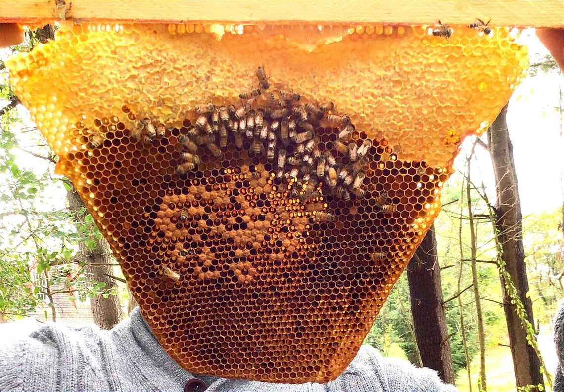 Might-o @ Montessori School of the Berkshires