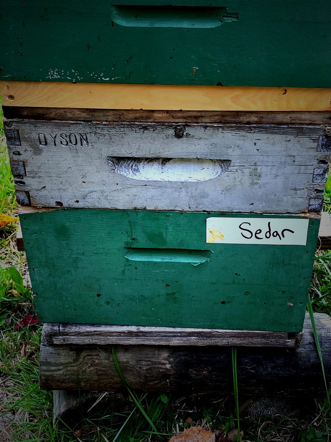 Sedar hive @ Kripalu Yoga Retreat Center Lenox, MA