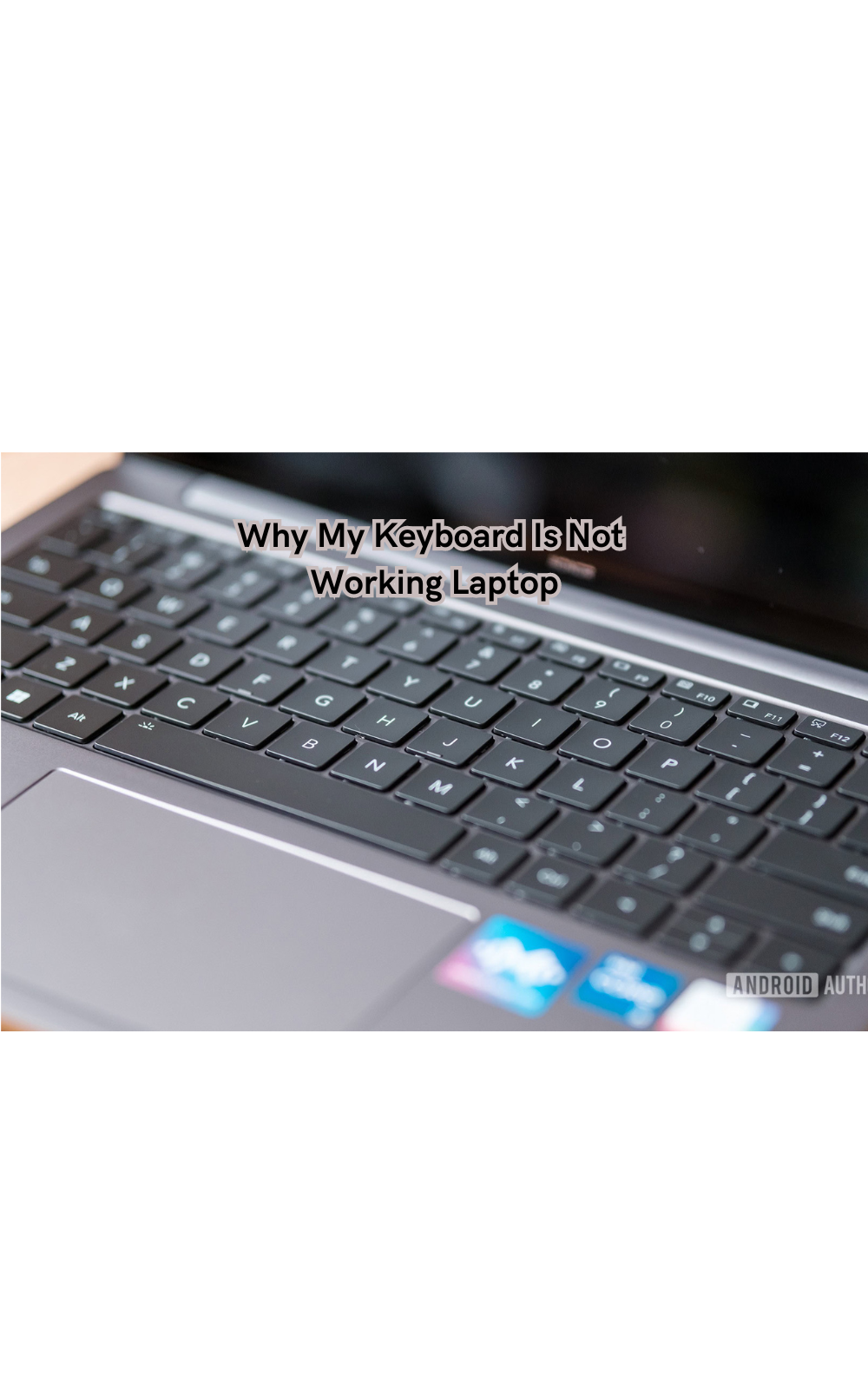 Why My Keyboard Is Not Working Laptop