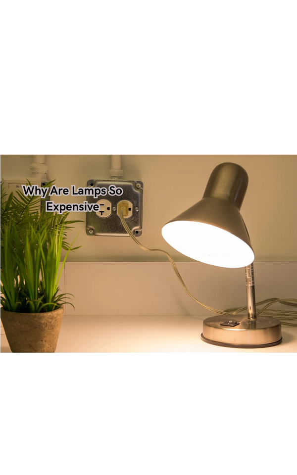 Why Are Lamps So Expensive