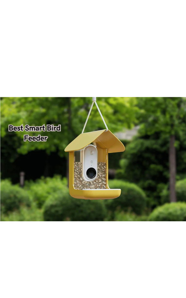 Discover the Best Smart Bird Feeder: Our Top Pick for Nature Lovers