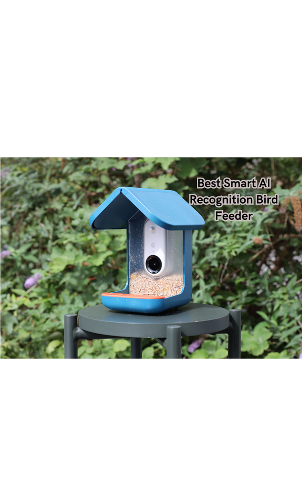 Revolutionize Your Bird-Watching Experience with these Best Smart AI Recognition Bird Feeder