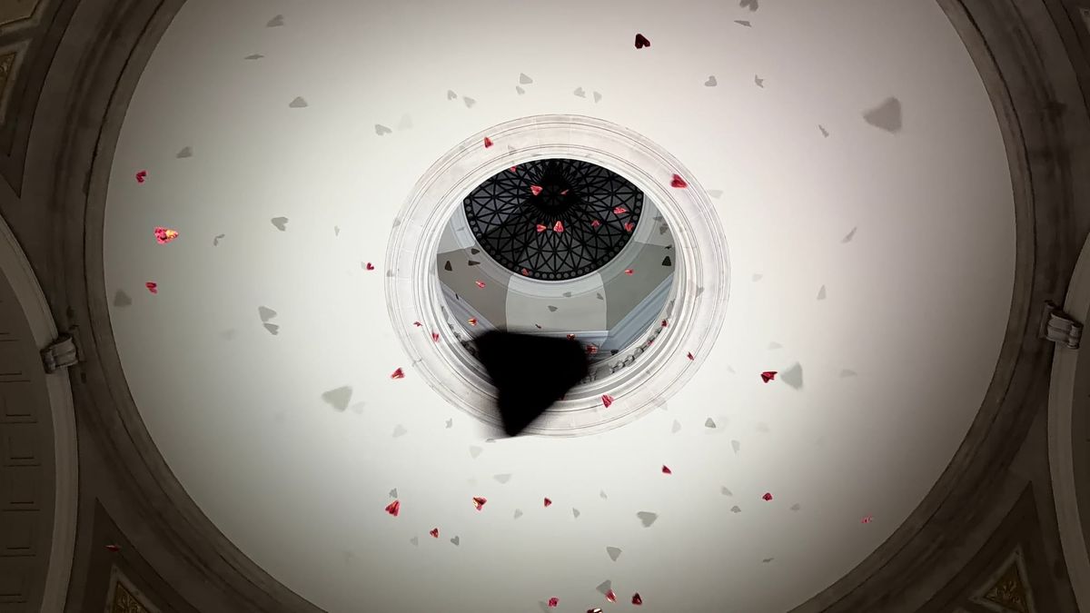 MSCHF's "20,000 Variations On a Paper Plane in Flight"