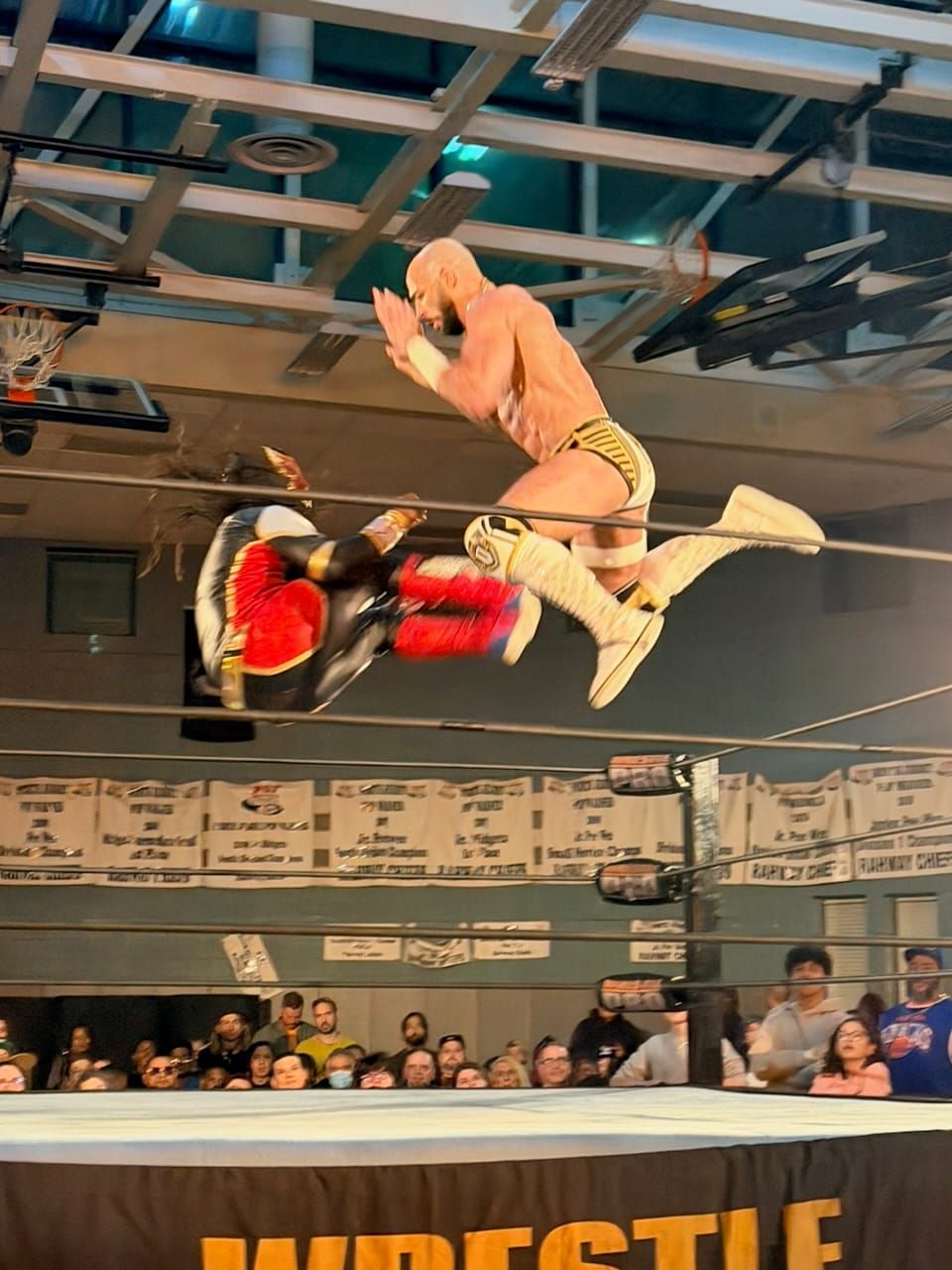 WrestlePro X