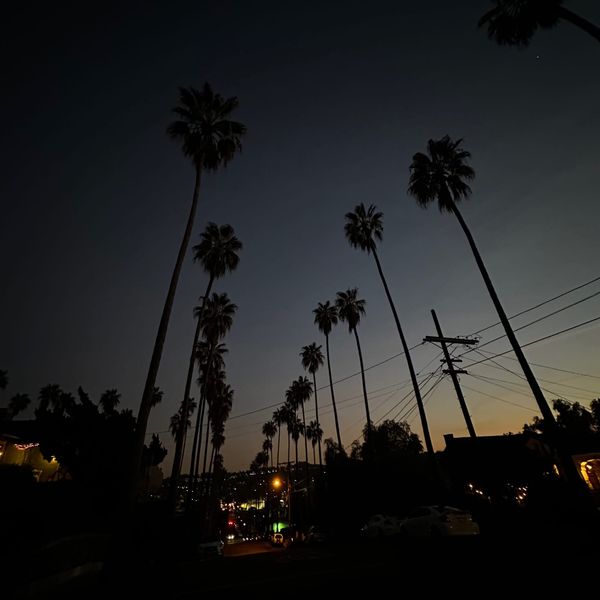 Los Angeles, January 2023
