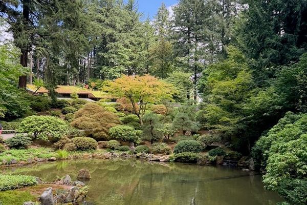 Portland, 2026