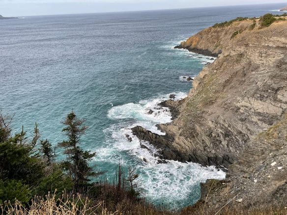 Tides of Transformation: Designing Impactful IEPs