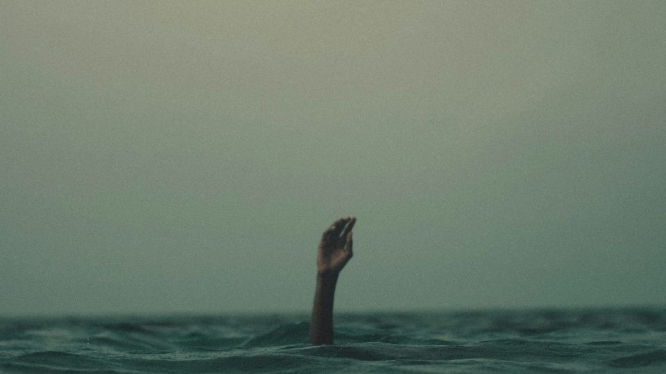 To Consume or Be Consumed.