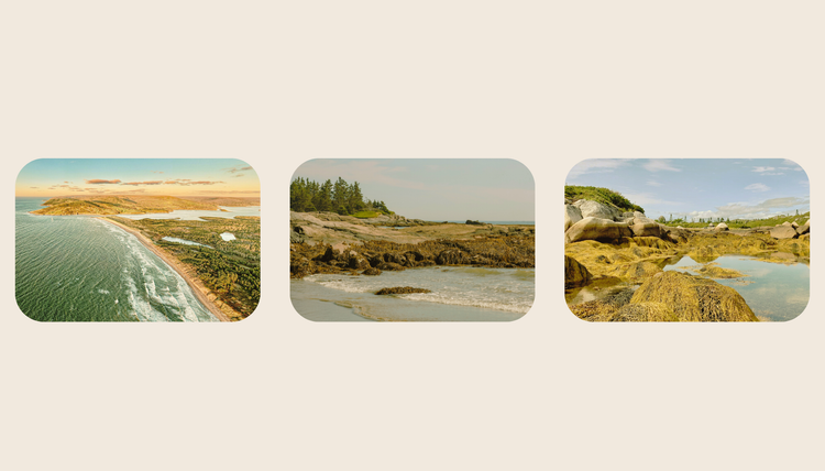 A Call to Amend the Provincial Parks Act