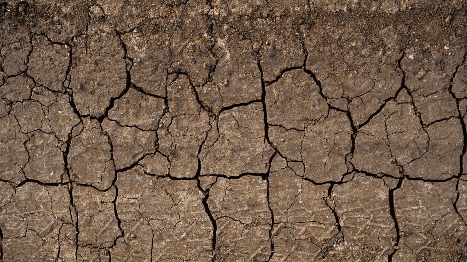 Unfiltered: CCTF Members Respond to Drought Conditions