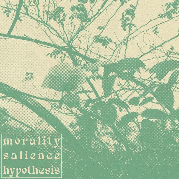 a green image of flowers with the words "morality salience hypothesis" 
