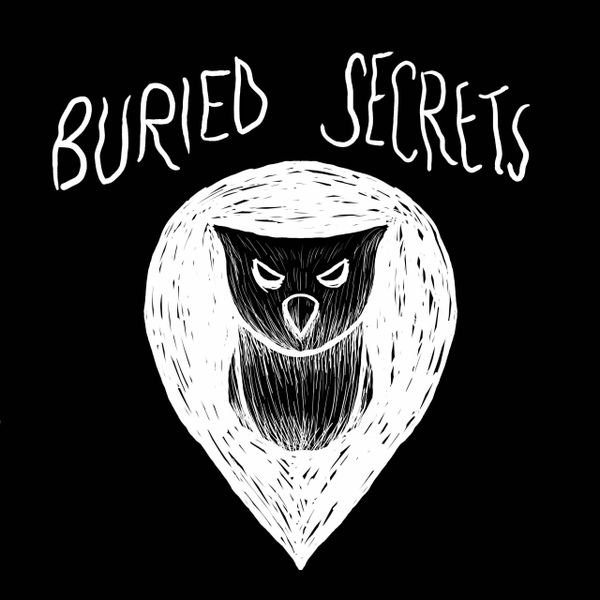 Strange Randonautica Synchronicity (Randonautica Series)