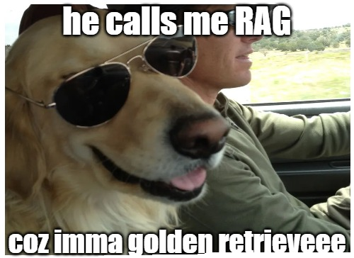Behold the RAG retriever.