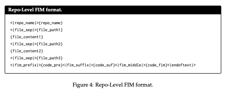 Repo Level FIM format
