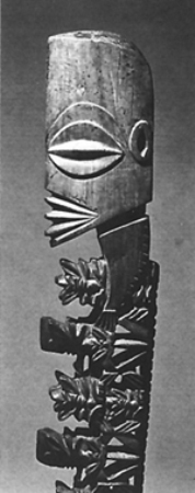 imagen-buena-de-polinesia