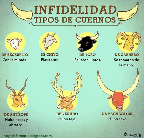 tipos de cuernos