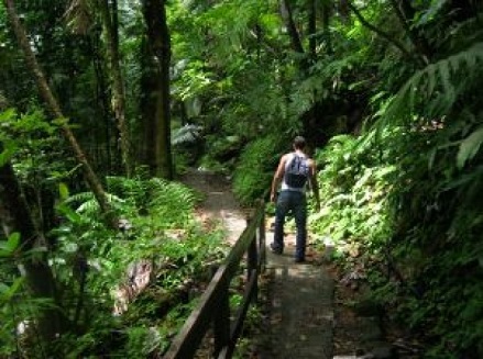 sendero