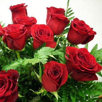 rosas 1