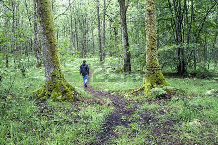 camino paimpont
