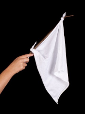 bandera buenawhite-flag