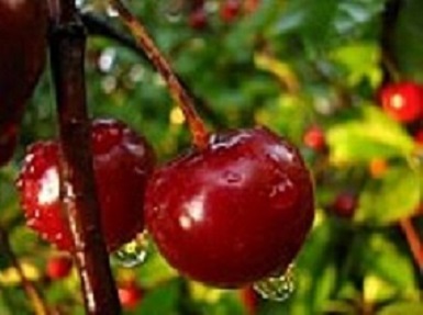 cuidado con lo que se dice