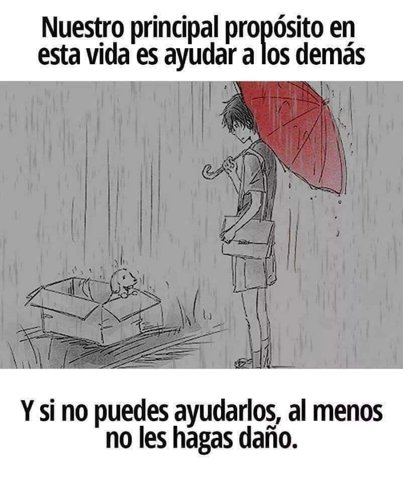 ¡POR FAVOR, NO LO OLVIDEMOS NUNCA!