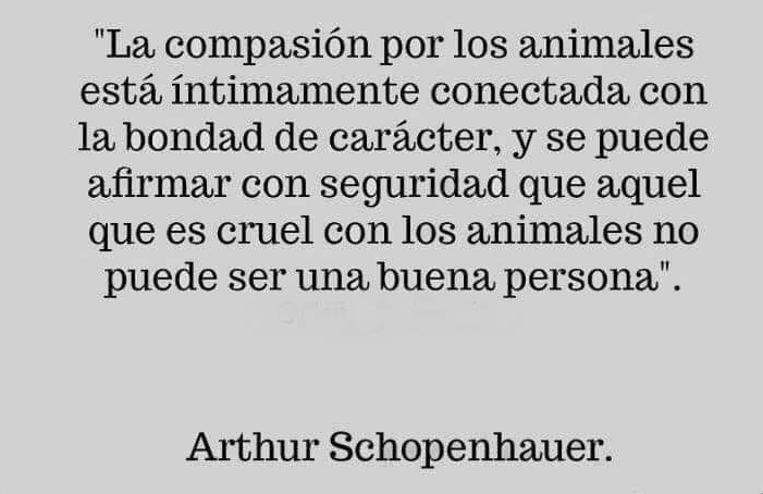 LO DIJO ARTHUR SCHOPEN HAUER