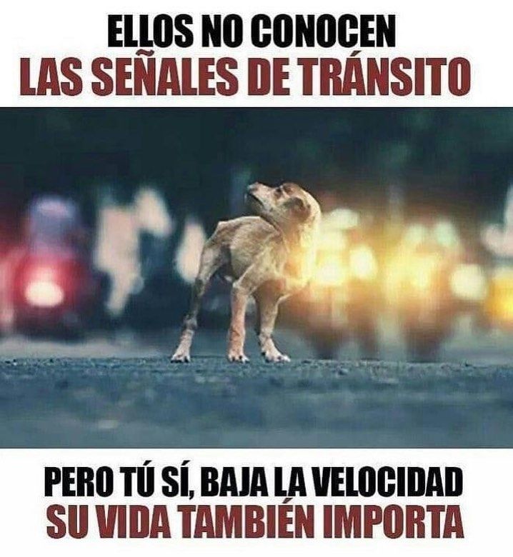 TENGAMOS CUIDADO, POR FAVOR