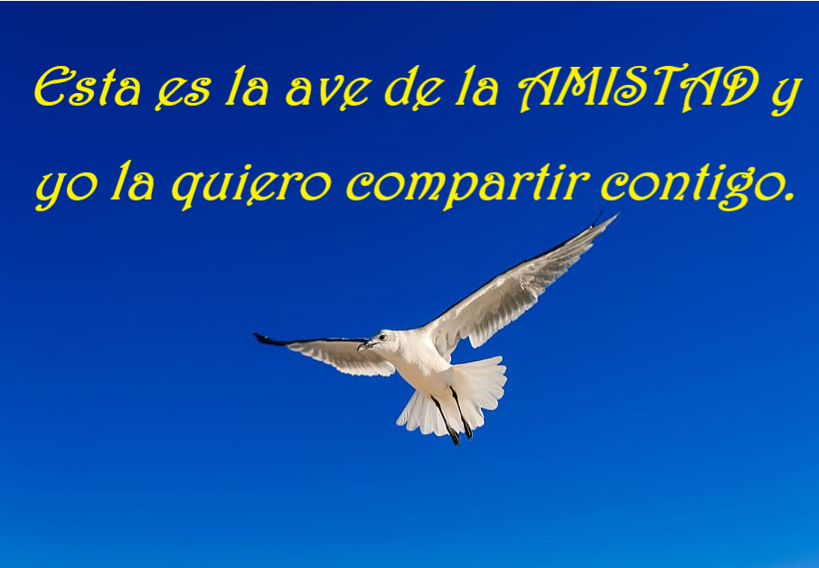 OFREZCO MI AMISTAD
