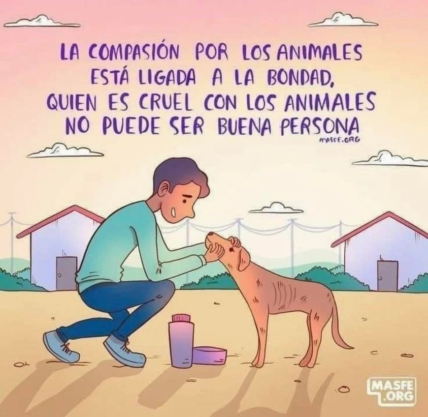 SOBRE LOS ANIMALES Y NOSOTROS