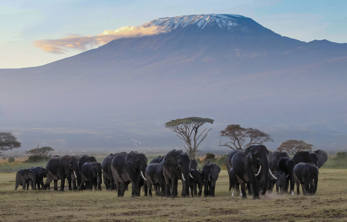 UNA LECCIÓN DE MAGNANIMIDAD (MICRORRELATO)