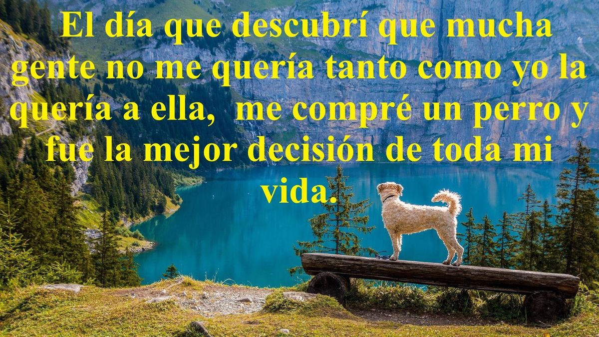 SOBRE LOS QUE LA GENTE DECEPCIONA (PÍLDORAS FILOSÓFICAS)