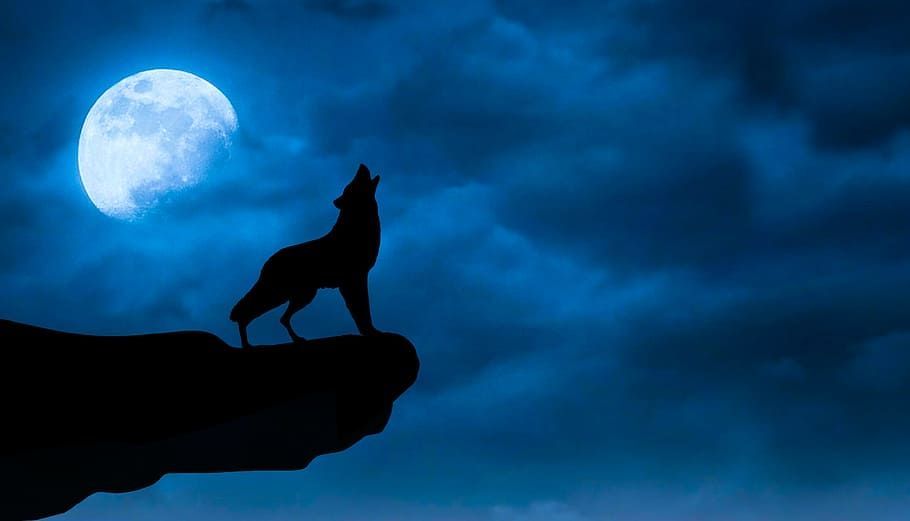 LOS QUE DEJARON DE CREER EN EL LOBO FEROZ (RELATO)