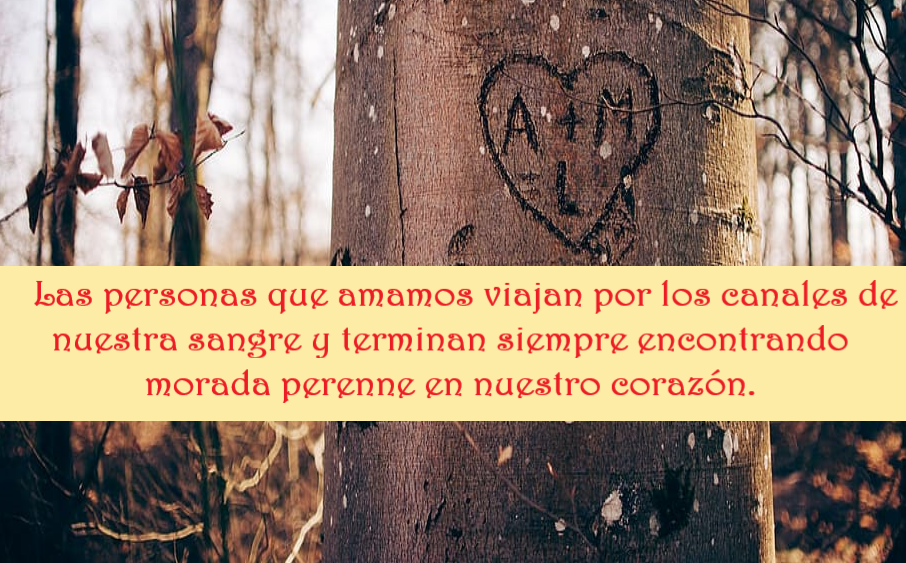 SOBRE LAS PERSONAS QUE AMAMOS (PÍLDORAS FILOSÓFICAS)