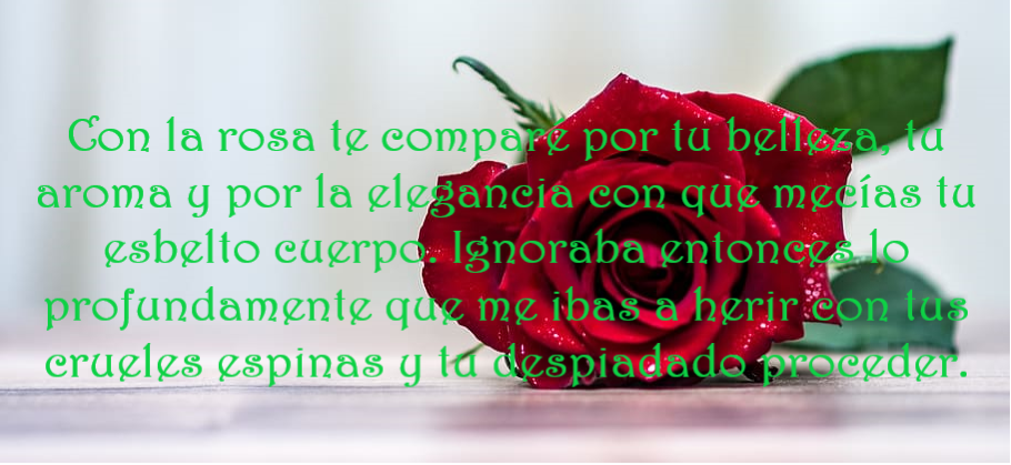 LAMENTABA UN POETA SU DESDICHA