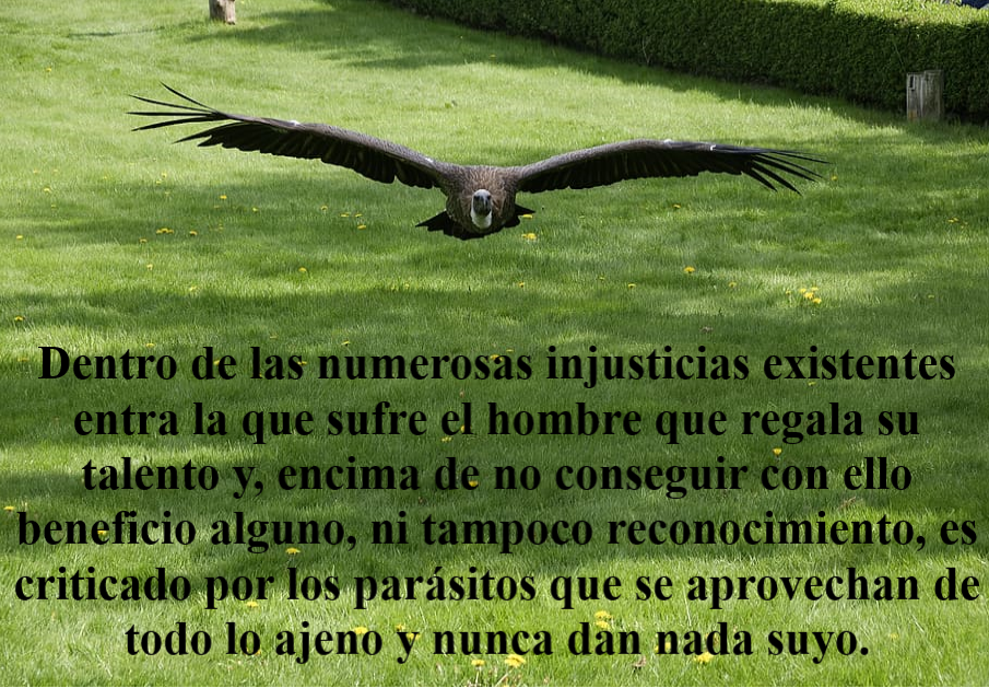 SOBRE LOS PARÁSITOS (PÍLDORAS FILOSÓFICAS)